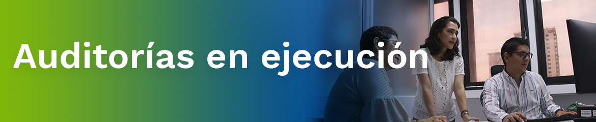 Auditorías en ejecución